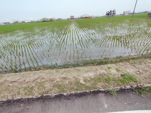 福興農地-5