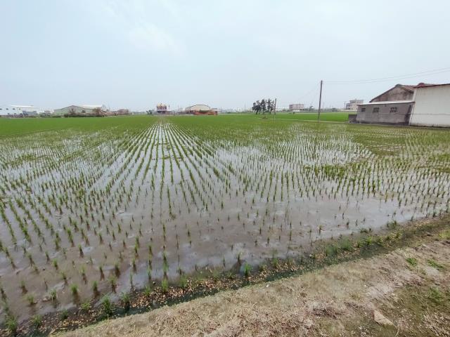 福興農地-6