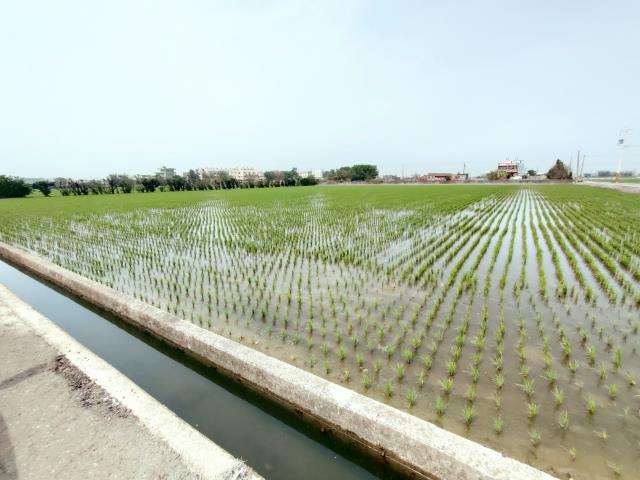 福興農地-5