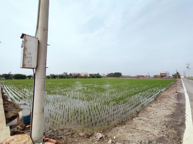 福興農地-6