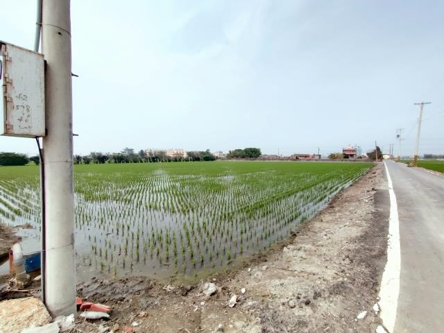 福興農地-7