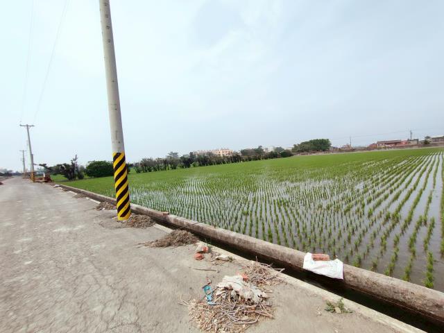 福興農地-8
