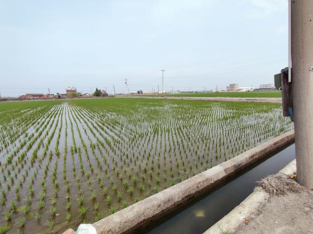 福興農地-9