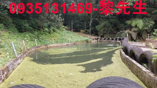 橫山農地-8