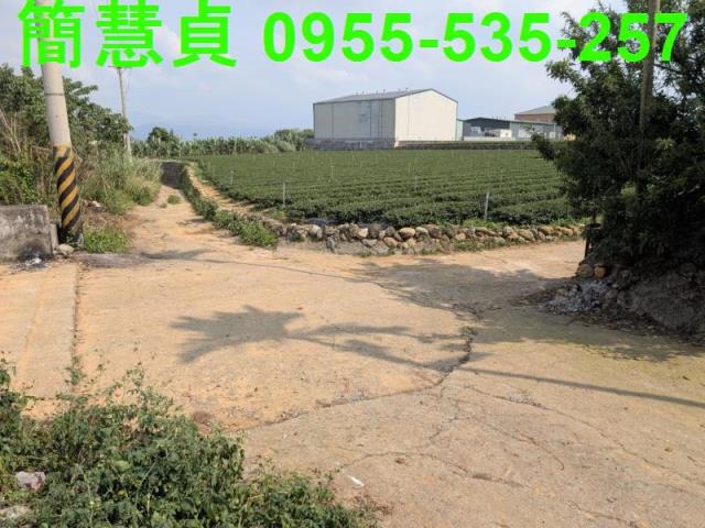 名間農地-4