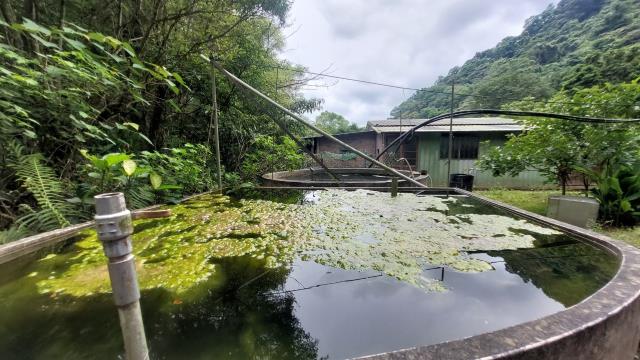 橫山農地-1