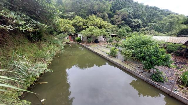 橫山農地-6