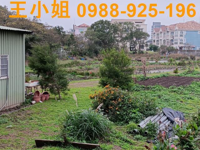 桃園農地-10