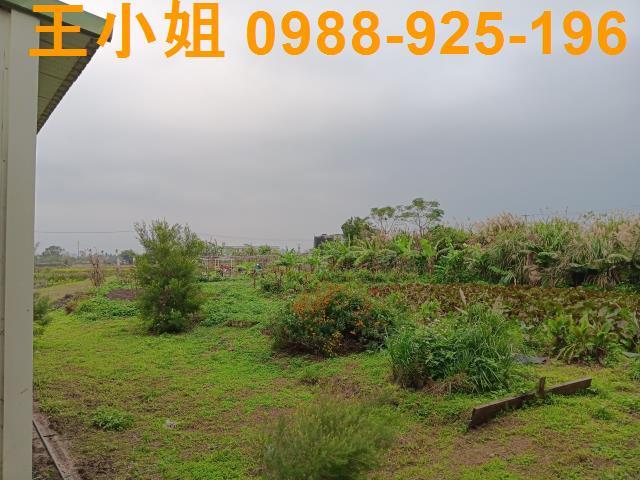 桃園農地-12