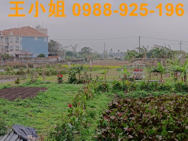 桃園農地-14