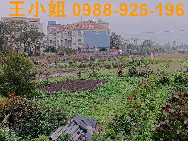 桃園農地-15