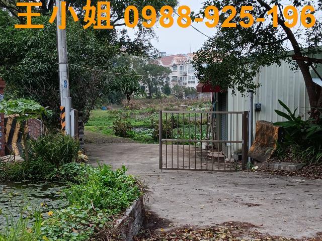 桃園農地-9