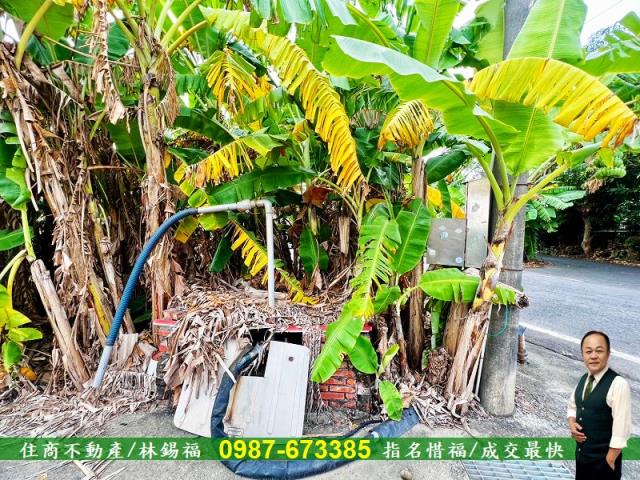台南農地-9