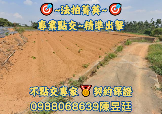 南投農地拍賣-1