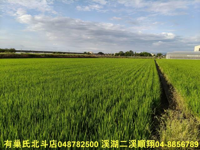 彰化農地-10