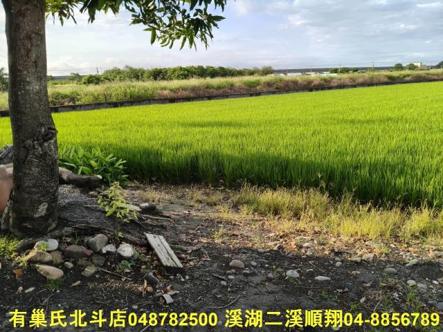 彰化農地-11