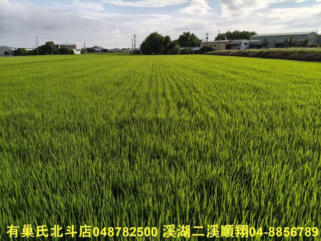 彰化農地-2