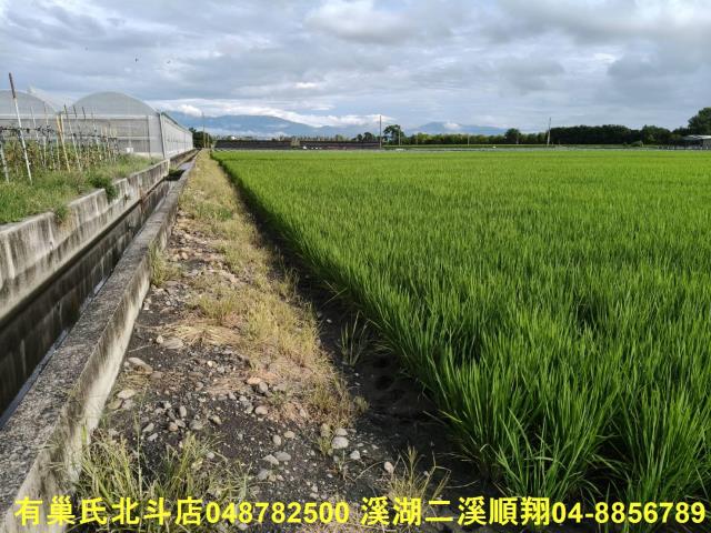 彰化農地-3