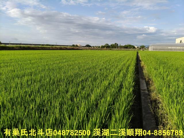 彰化農地-5