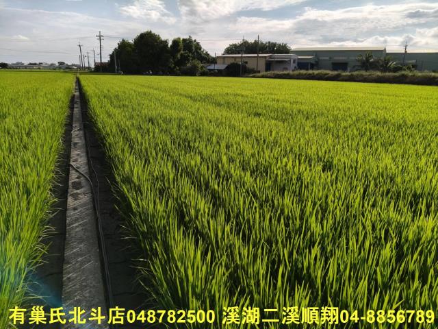 彰化農地-6