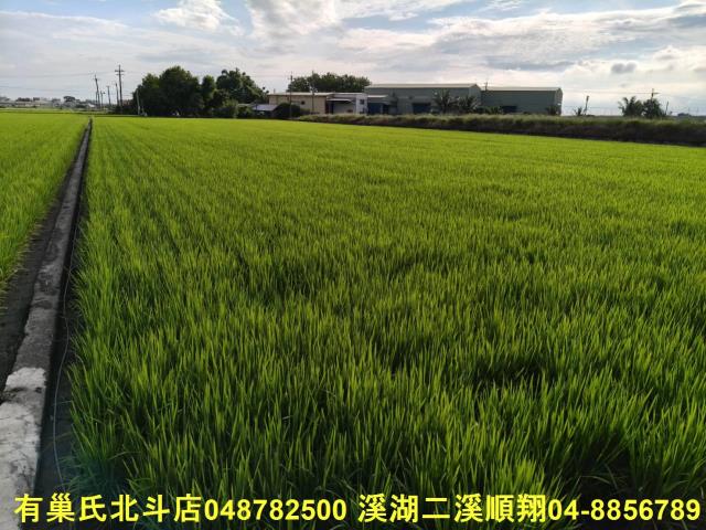 彰化農地-7