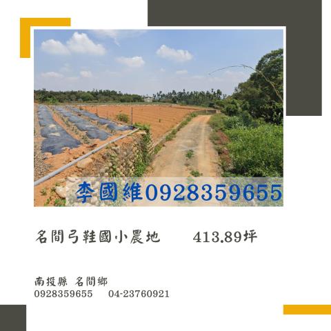 南投法拍農地-1