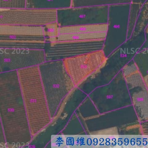 南投法拍農地-3