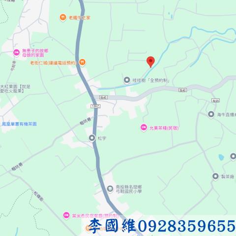南投法拍農地-4