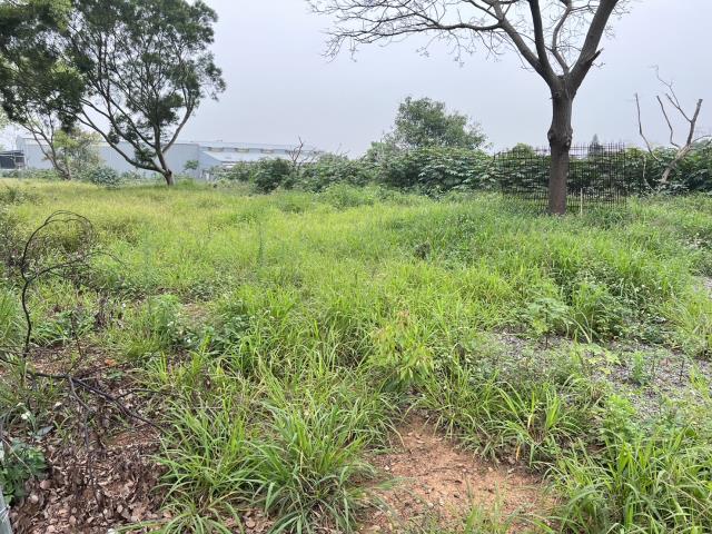 桃園中壢農地-2