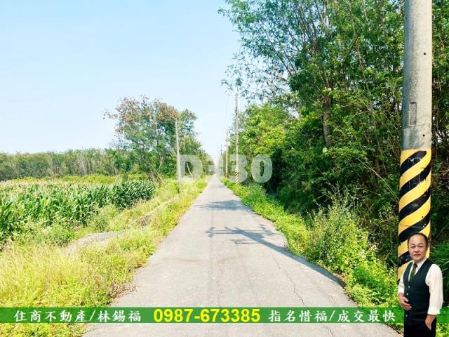 台南安定農地-8