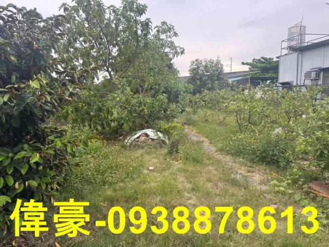 高雄岡山農地-1