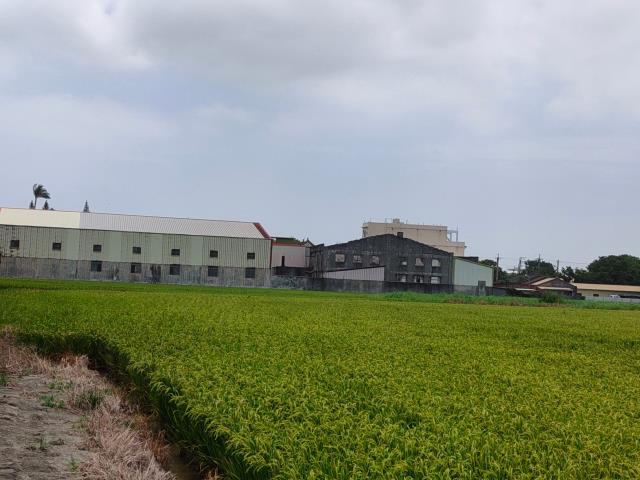 彰化溪湖農地-11