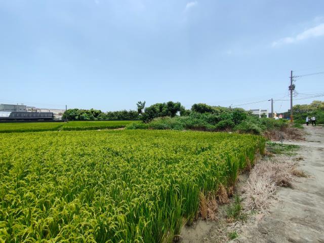 彰化溪湖農地-13