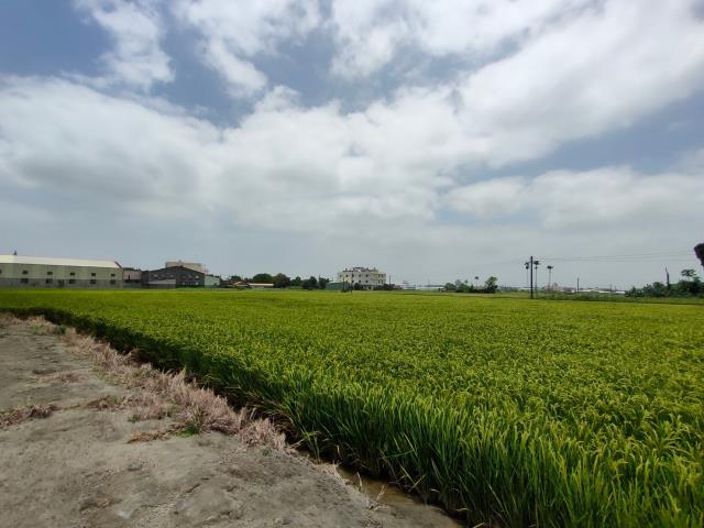 彰化溪湖農地-8