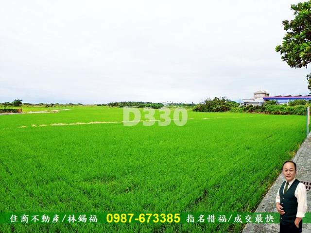 台東市農地-3