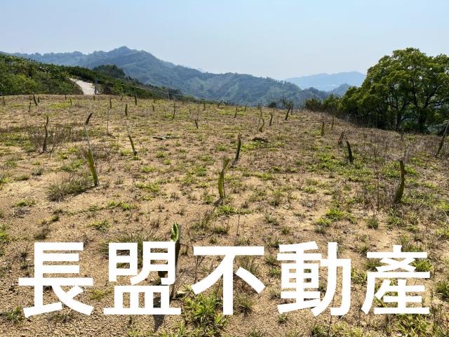東勢休閒地-3