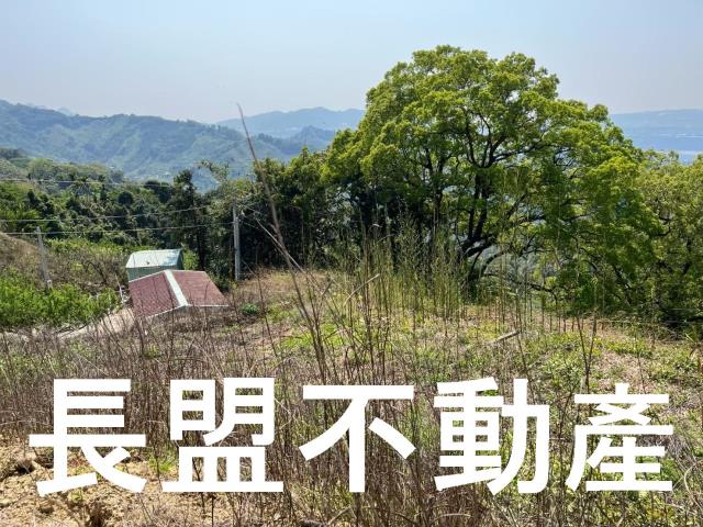 東勢休閒地-5