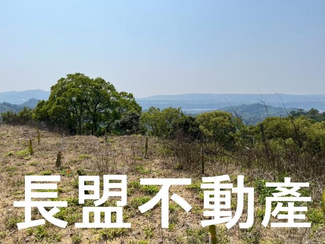 東勢休閒地-6