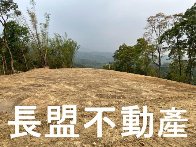 東勢休閒地-2