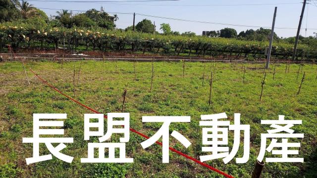 石岡農地-1