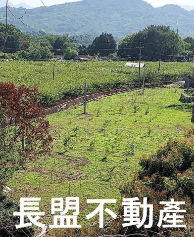 石岡農地-2