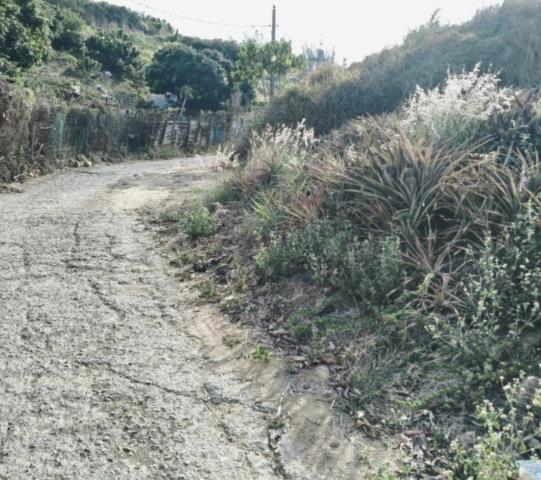 鳥松農地-1