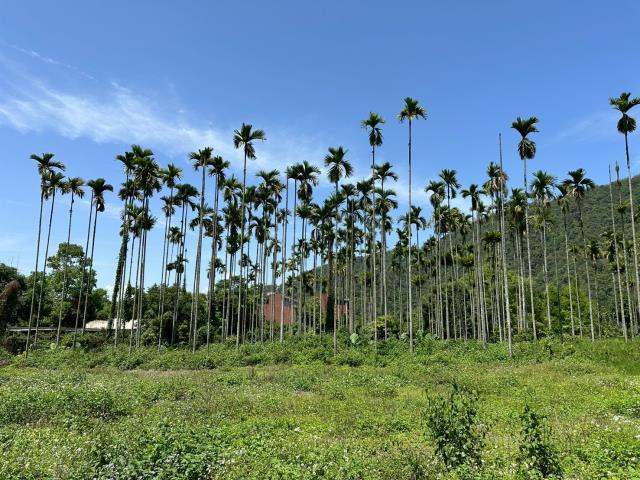 南投農地-3