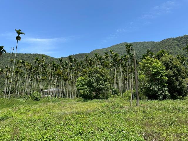 南投農地-4