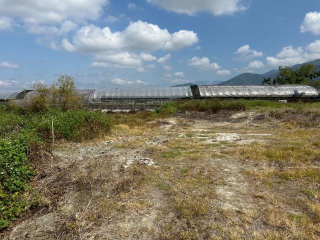 南投農地-1