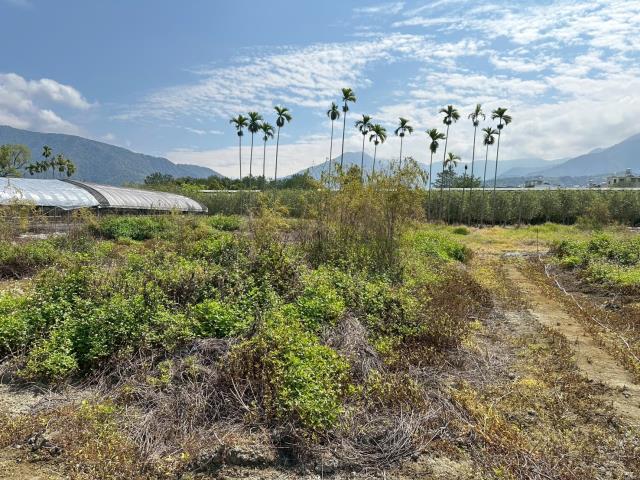 南投農地-2