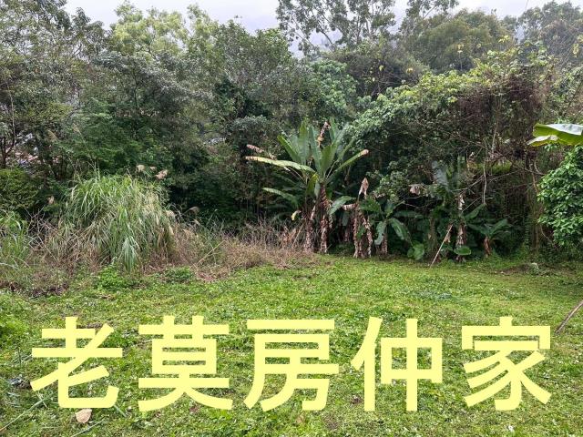 南投建地-2