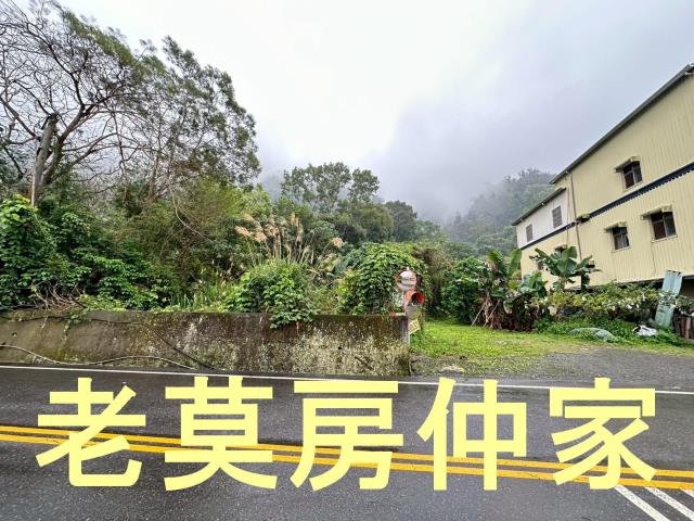 南投建地-4