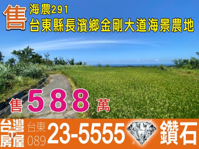 台東農地-1