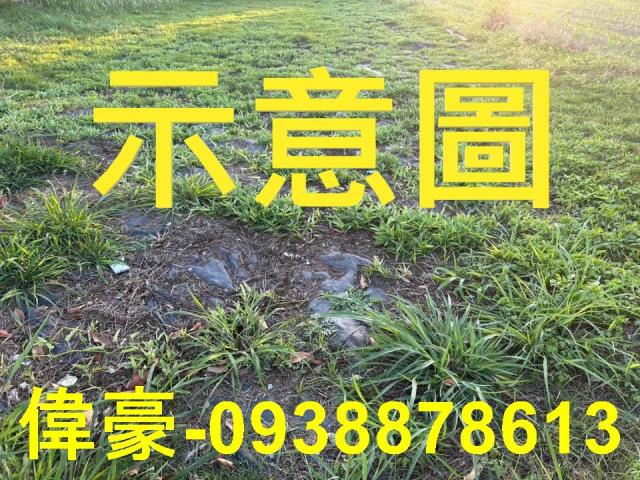 高雄岡山農地-1